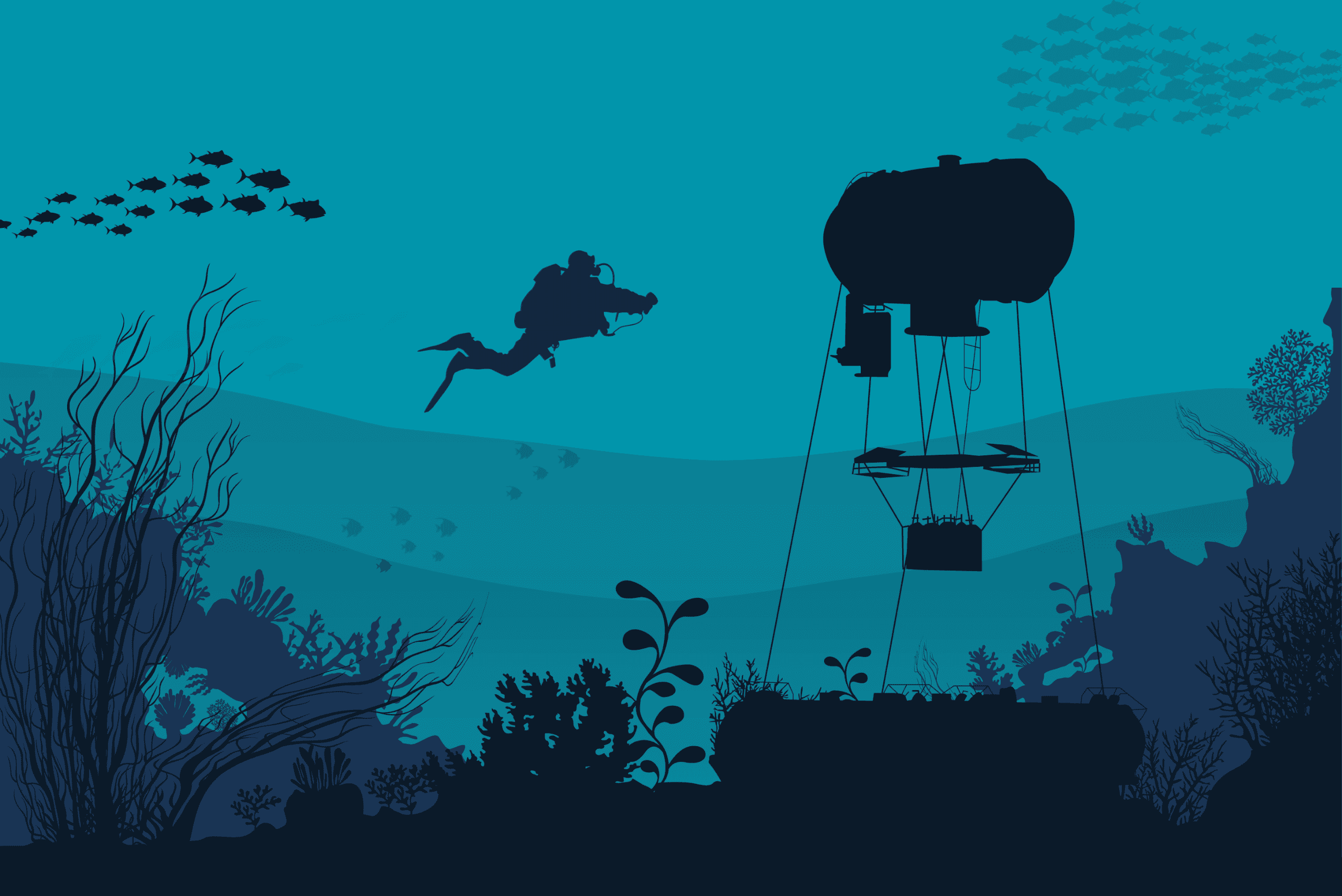 Nos ressources pédagogiques