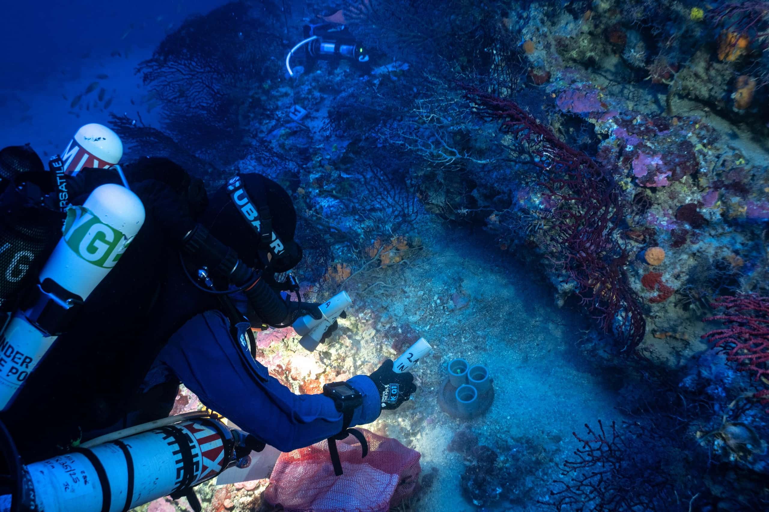 Soutenir la recherche scientifique